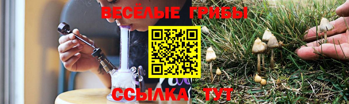 наркота  Вход с VPN  Нововоронеж  Псилоцибиновые грибы Magic Shrooms 