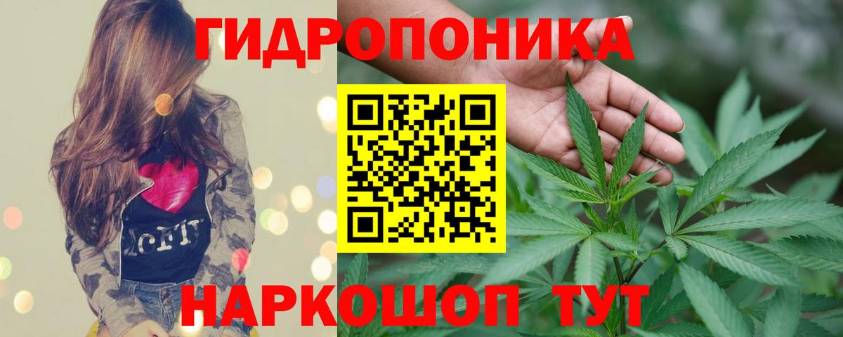 Канабис White Widow Нововоронеж